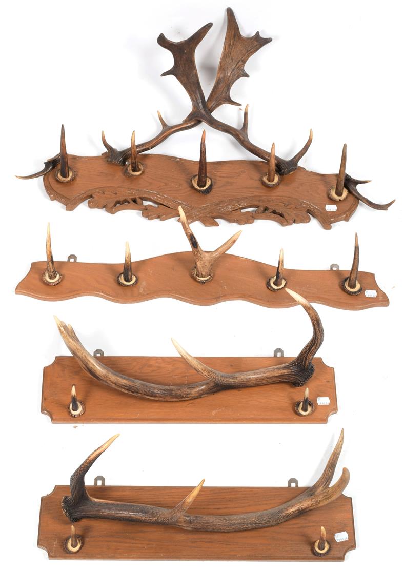 Lot 45 - Antler Furniture: A Collection of Antler Coat Racks, comprising - a Fallow Deer antler mounted coat