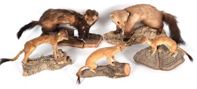 Lot 120 - Taxidermy: A Group of European Countryside Animals, circa late 20th century, comprising -  two full