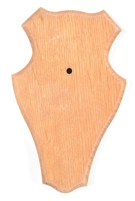 Lot 124 - Taxidermy: Shields, fifty matching blonde oak shields, 11.5cm by 18.5cm (50) used.