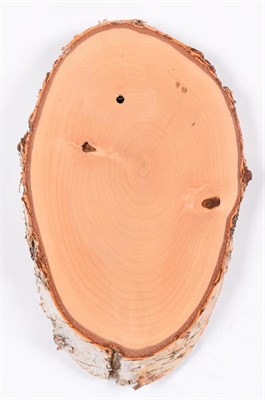 Lot 129 - Taxidermy: Shields, thirty mixed split ash tree shields, various sizes - average 11cm by 23cm, (50)