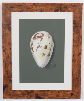 Lot 142 - Taxidermy Art: A Quantity of Original Art Work by Graham Teasdale, Taxidermist, Rotherham,...