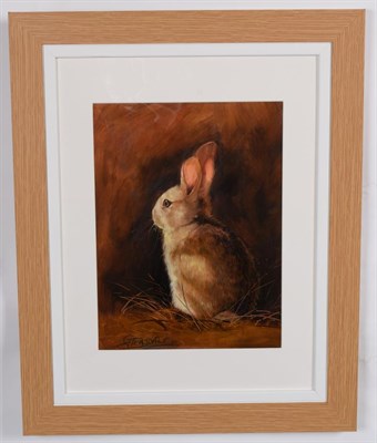 Lot 142 - Taxidermy Art: A Quantity of Original Art Work by Graham Teasdale, Taxidermist, Rotherham,...