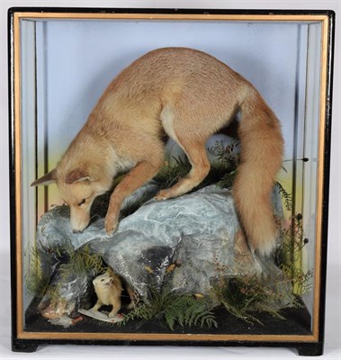 Lot 145 - Taxidermy: European Red Fox Diorama ''The Ambush'' (Vulpes vulpes), by James Hutchings, of...