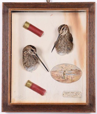 Lot 153 - Taxidermy: A Pair of Wall Cased Common Snipe Head Mounts (Gallinago gallinago), modern, by A.J....