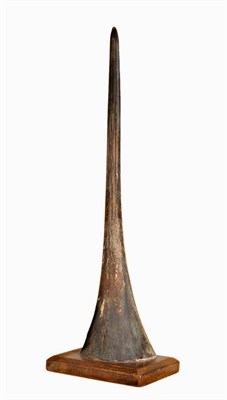 Lot 157 - Natural History: A Marlin Rostrum, an adult preserved rostrum, mounted upon a rectangular...