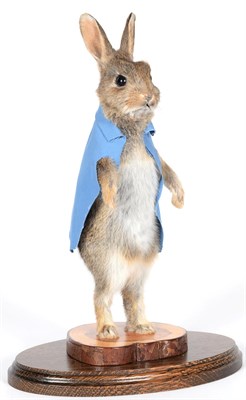 Lot 202 - Taxidermy: Peter Rabbit (Oryctolagus cuniculus), circa 2020, by A.J. Armitstead, Taxidermy,...