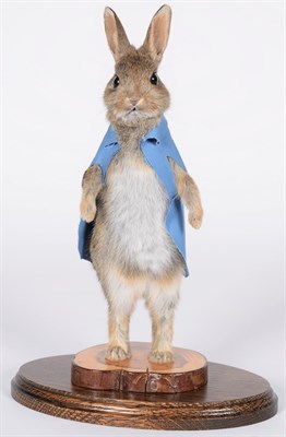 Lot 202 - Taxidermy: Peter Rabbit (Oryctolagus cuniculus), circa 2020, by A.J. Armitstead, Taxidermy,...