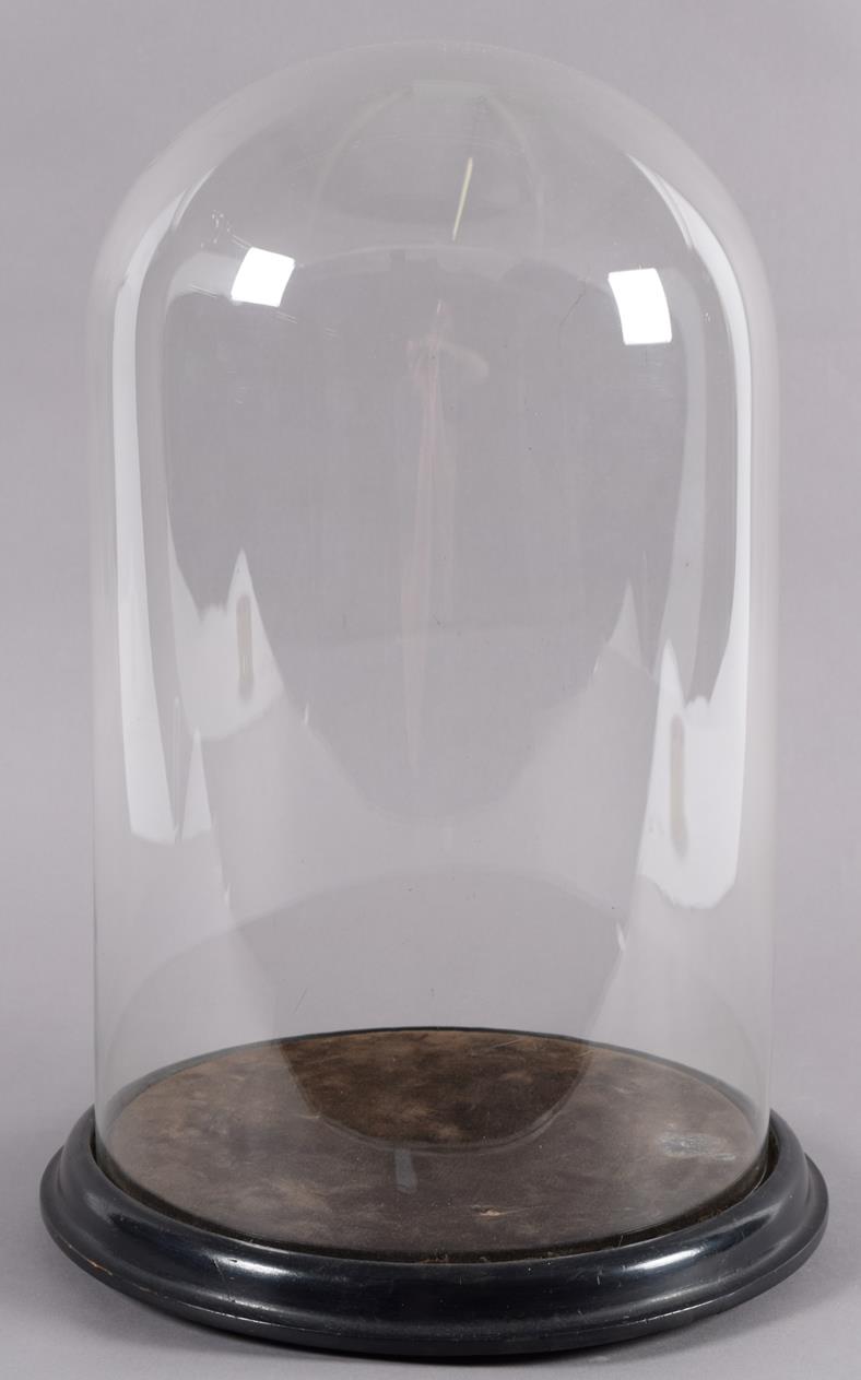 Lot 212 - Glass Dome: A Late 19th Century Circular Glass Dome, a period glass dome with original ebonised...