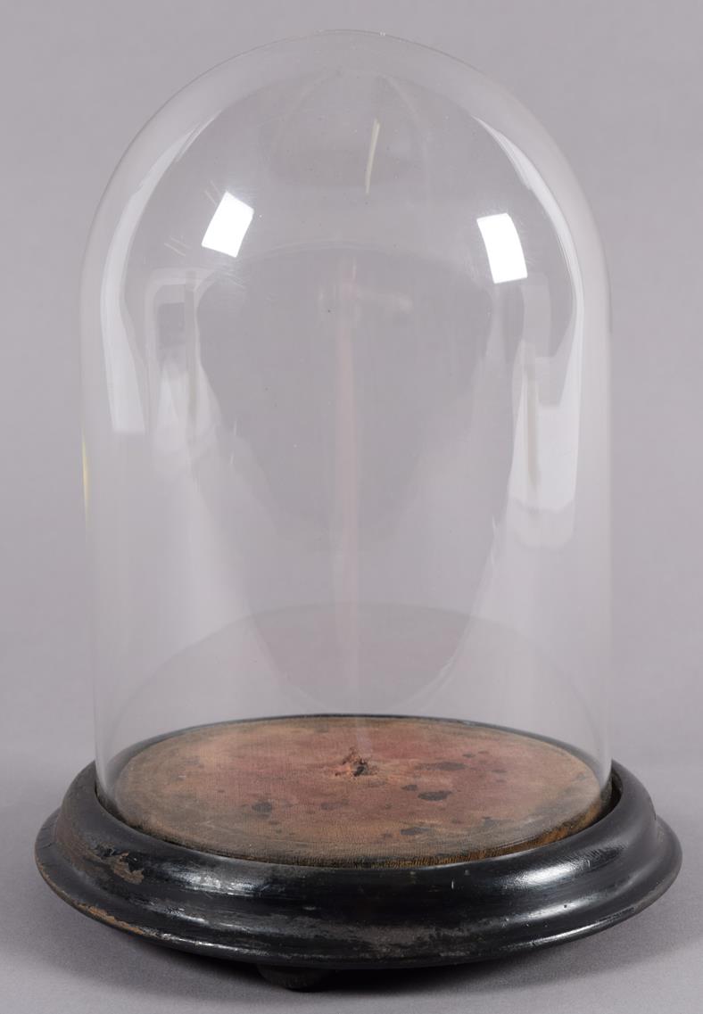 Lot 218 - Glass Dome: A Late 19th Century Small Circular Glass Dome, a period glass dome with original...