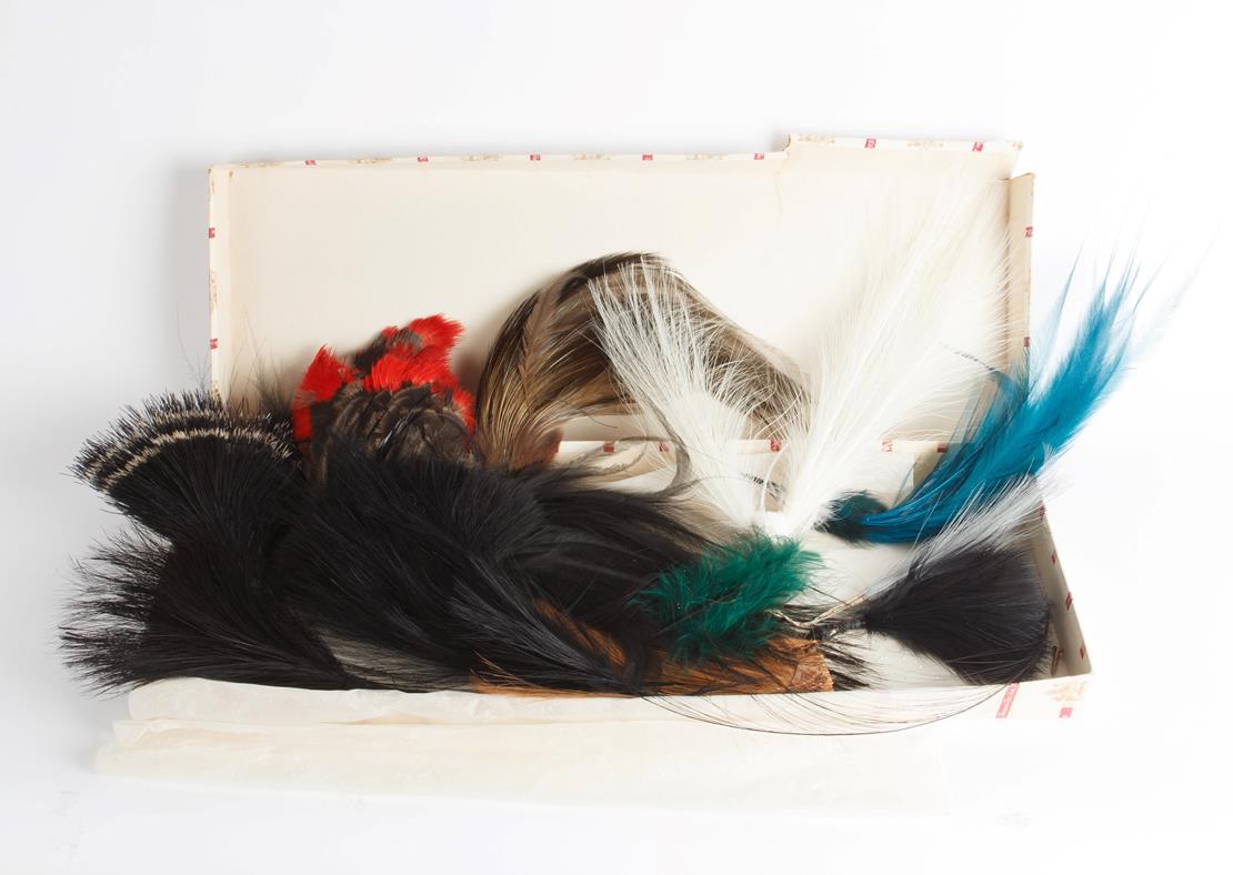 Lot 226 - Natural History: A Collection of Various Late Victorian Birds of Paradise Millinery Plumes, a...