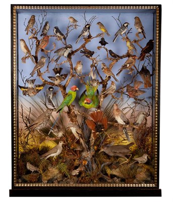 Lot 239 - Taxidermy: A Late Victorian Cased Diorama of Birds Endemic to India, circa 1880-1900, by W.E....