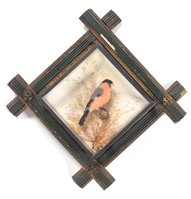 Lot 252 - Taxidermy: A Pair of Diamond Shaped Wall Cases, Bullfinch & Goldfinch, by George Bazeley,...