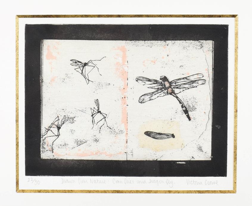 Lot 1015 - Victoria Crowe OBE, FRSE, RSA, RSW (B.1945) Scottish ''Drawn from Nature:- Crane Flies and...
