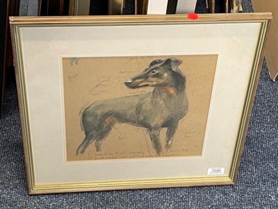 Lot 1040 - Harold Riley (b.1934)  ''Manchester Terrier- Originally a Rat Catcher- now resides in the...