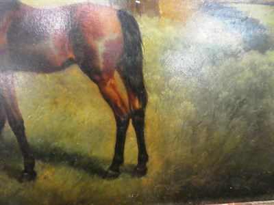 Lot 1008 - British school (20th century) A horse and her foal, oil on board, 38.5cm by 49cm, together with...