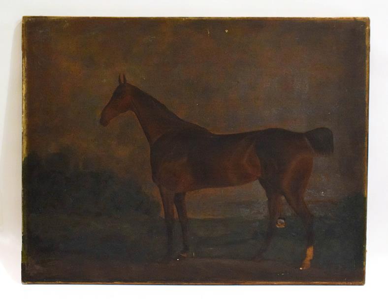 Lot 1023 - English school (19th Century) bay horse in a landscape, oil on canvas, 53cm by 69cm