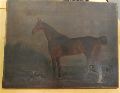 Lot 1023 - English school (19th Century) bay horse in a landscape, oil on canvas, 53cm by 69cm