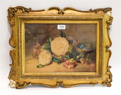 Lot 1025 - Attributed to William Bartholomus (?) RA, still life with grapes and bird nest, mixed media on...