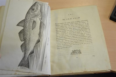 Lot 172 - North (Roger) The History of Esculent Fish, with plates, drawn and engraved by Eleazar Albin:...