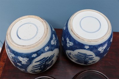 Lot 76 - A Matched Pair of Chinese Porcelain Ginger Jars, 19th century, of ovoid form, painted in underglaze