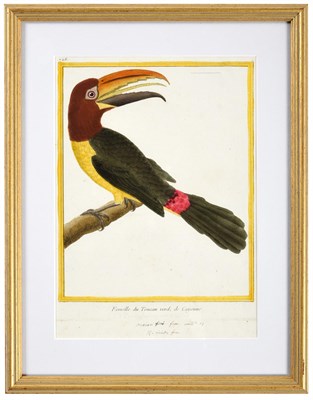 Lot 1000 - After François-Nicolas Martinet (1731-1800) French Bird Studies from 'Histoire Naturelle des...