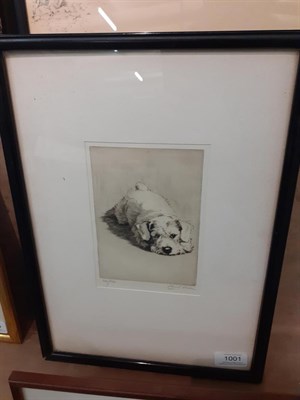 Lot 1001 - Cecil Charles Windsor Aldin (1870-1935) ''Sealyham Puppy''  Signed in pencil, numbered 120/180,...