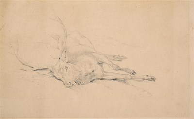 Lot 1011 - Sir Edwin Henry Landseer RA (1802-1873) Study of a dead stag Pencil, 15.5cm by 25cm...