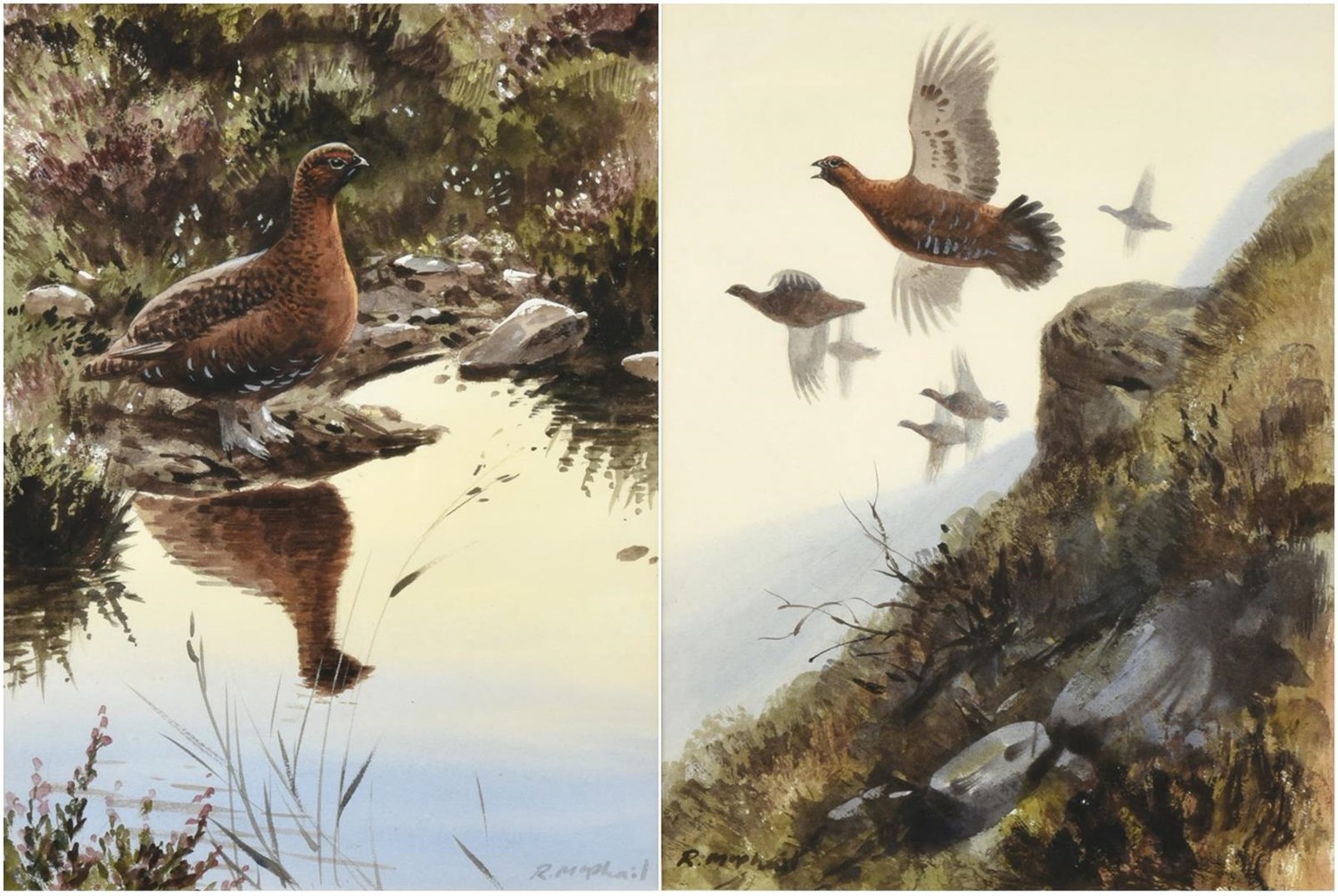 Lot 1016 - Rodger McPhail (b.1953) Covey of Grouse in flight Grouse in contemplation Signed, watercolour...