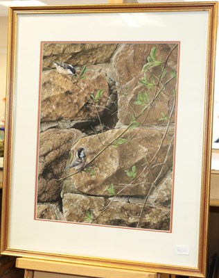 Lot 1018 - Alan M Hunt (b.1947)  Coal tits building a nest Signed and dated 1982, gouache, 40.5cm by...