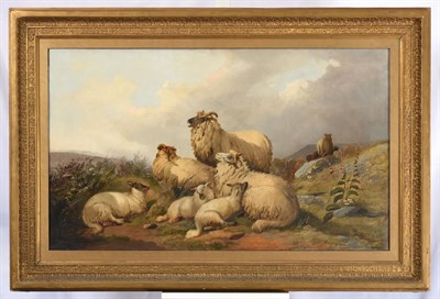 Lot 1027 - Circle of William Watson (19th century)  Sheep and lambs at rest on a fell top Oil on canvas,...