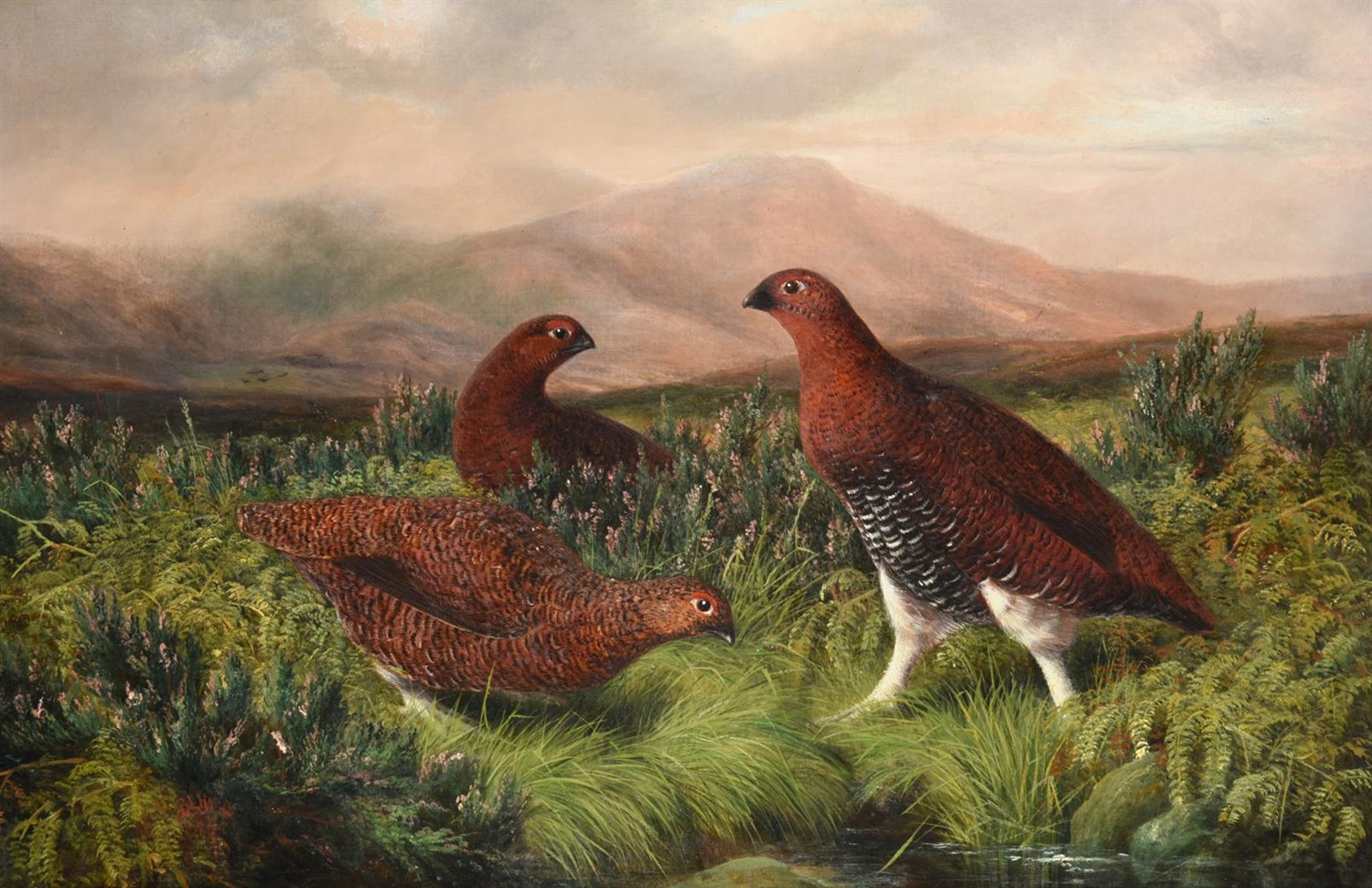 Lot 1032 - Benjamin (Lester) Hold (1839-1917) Grouse in a heather moorland Signed, oil on canvas, 48.5cm...