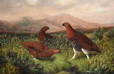 Lot 1032 - Benjamin (Lester) Hold (1839-1917) Grouse in a heather moorland Signed, oil on canvas, 48.5cm...