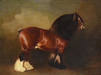 Lot 1041 - Attributed to Edith Anna Oenone Somerville (1858-1949)  Portrait of a heavy horse standing...