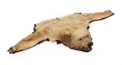Lot 46 - Kodiak Bear (Ursus arctos middendorffi), circa 1913, by Rowland Ward, half rug with head mount, the