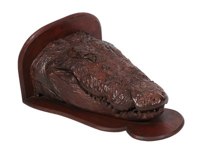 Lot 210 - Taxidermy: A Mugger Crocodile Head Mount (Crocodylus palustris), circa late 19th/early 20th...