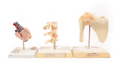 Lot 263 - A Group of Three Plastic Anatomical Models, of heart and lungs, hip joint, and vertebrae, on...