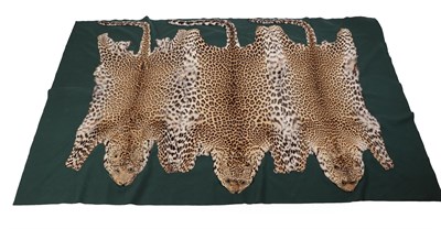 Lot 362 - Taxidermy: Leopard Skin Carriage Rug (Panthera pardus), circa 1900, three Leopard flat skins...