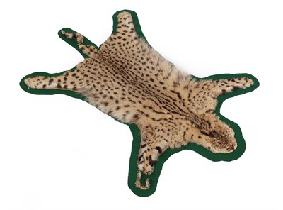 Lot 387 - Taxidermy: Serval Skin Rug (Leptailurus serval), circa early-mid 20th century, flat skin rug...