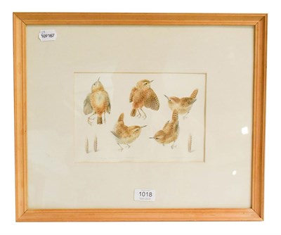 Lot 1018 - Mildred Eldridge (1909-1991) bird studies, signed watercolour and pencil, 16cm by 24cm,...