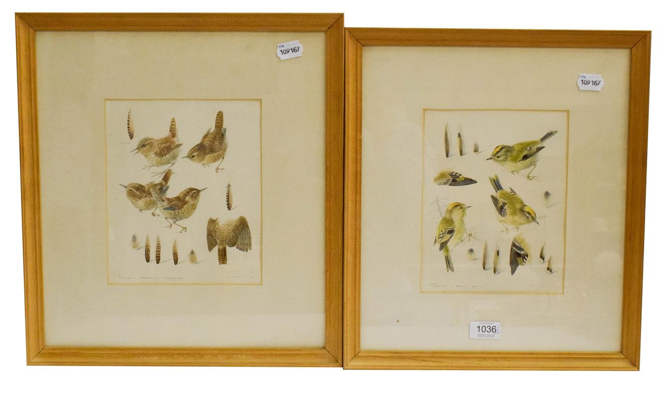 Lot 1036 - Mildred Eldridge (1909-1991) a pair of watercolour and pencil ornithological studies, to...