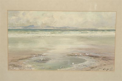 Lot 753 - Thomas Swift Hutton (c.1865-1935) Beach scene with seabirds Signed, pencil and watercolour...