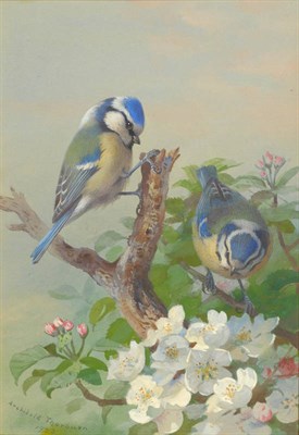 Lot 769 - Archibald Thorburn (1860-1935) Two Blue Tits on a tree branch Signed and dated 1923,...