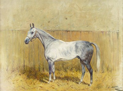 Lot 901 - George Wright (1860-1942) Grey hunter in a loose box Signed, oil on canvas, 40.5cm by 56cm