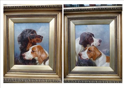 Lot 911 - Colin Graeme Roe (1855-1910) Gordon Setter and a Red and White Setter; Two Pointers Both...