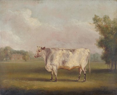 Lot 914 - William Henry Davis (c.1795-1885) Shorthorn heifer standing in a parkland Signed and dated...