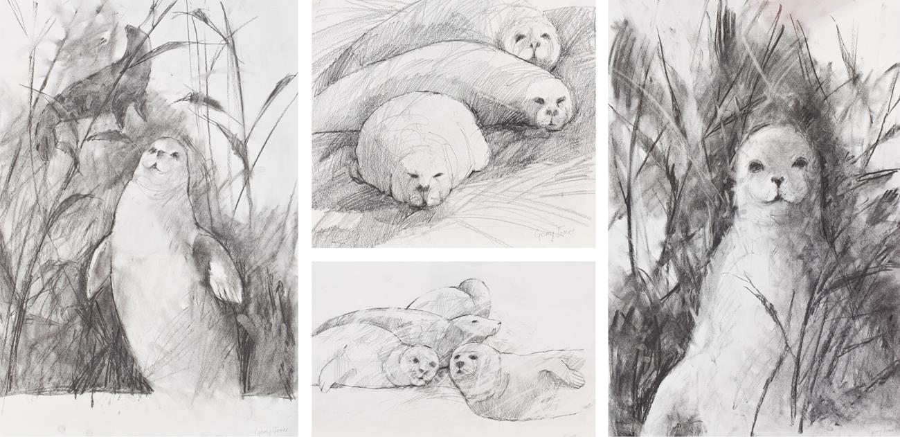 Lot 1078 - Gerry Jones (Contemporary) Study of seals Signed, pencil, together with 3 further seal studies...