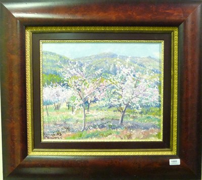 Lot 1005 - Casanova Hernandez (20th/21st century) Spanish Summer blossom Signed, oil on canvas, inscribed...