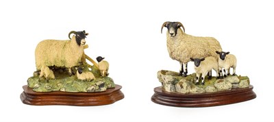 Lot 18 - Border Fine Arts 'Blackie Ewe and Lambs', model No. B0887, limited edition 295/1250, together...