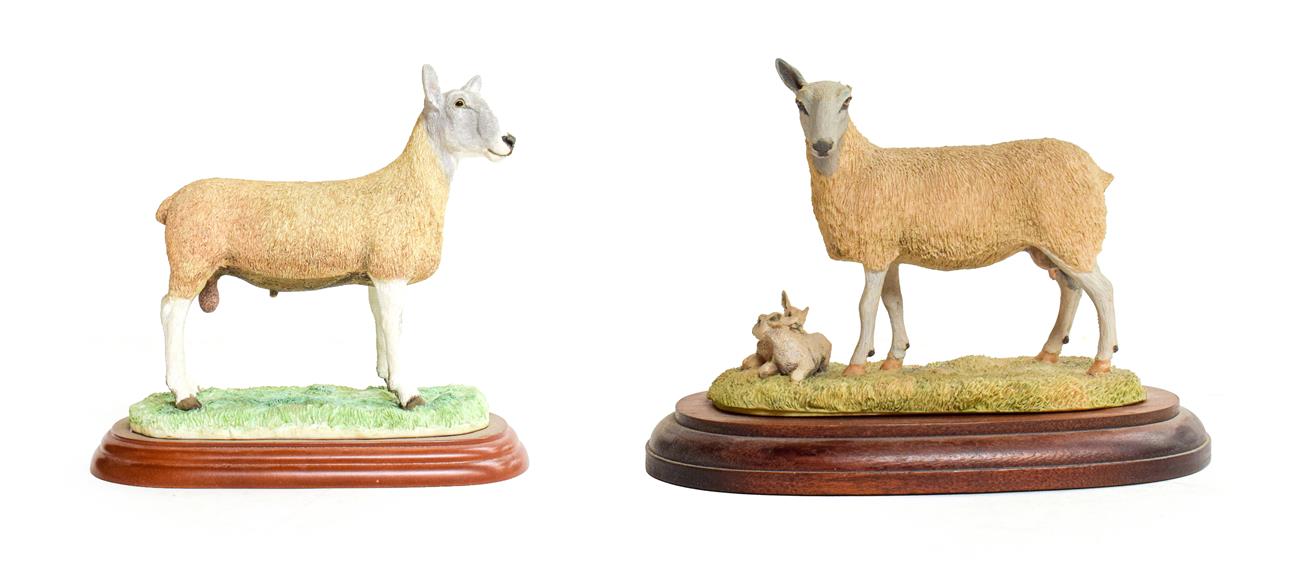 Lot 21 - Border Fine Arts 'Blue Faced Leicester Ewe and Lambs' (Style One), model No. L31 by Ray Ayres,...