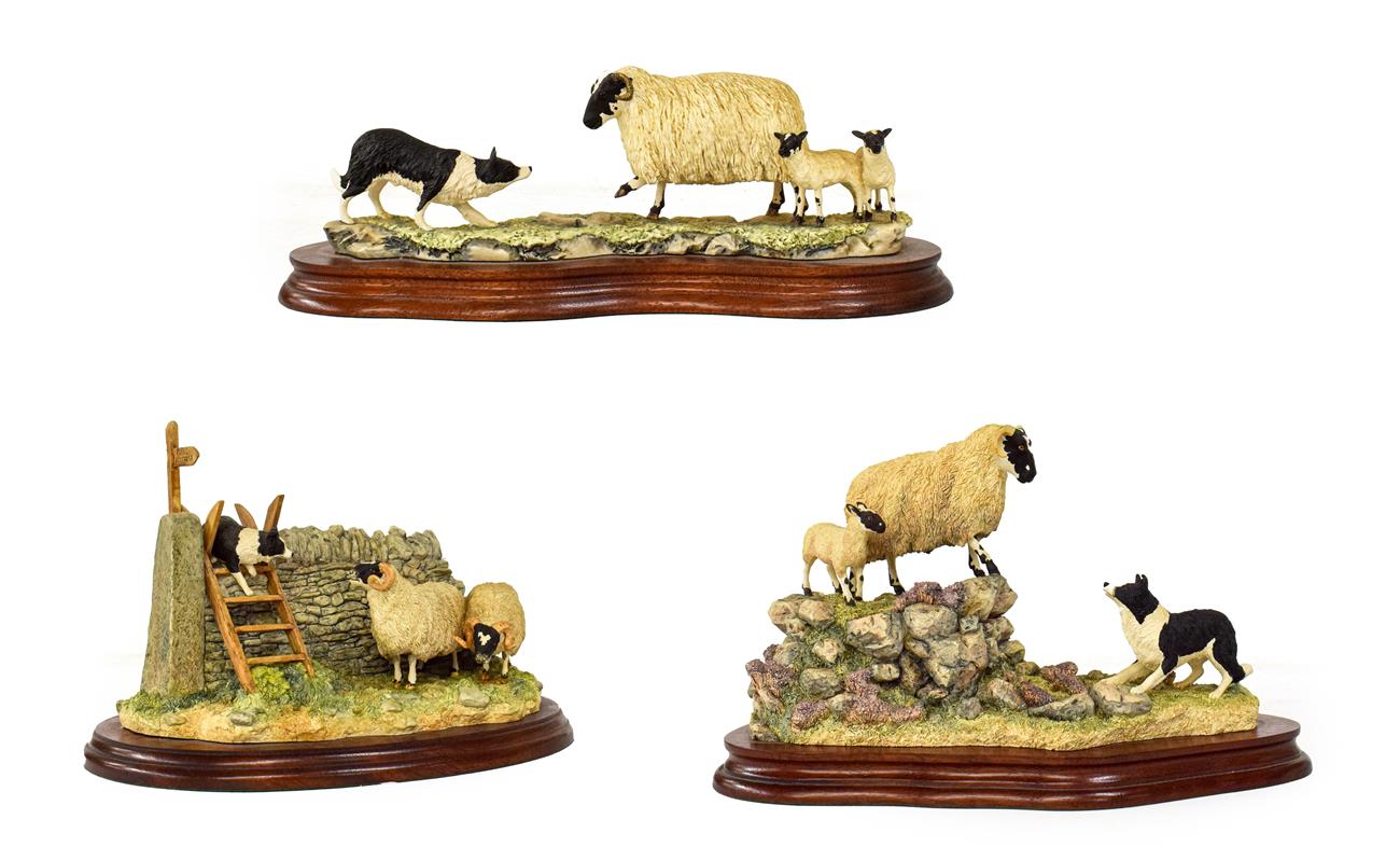 Lot 44 - Border Fine Arts 'Holding Her Ground' (Ewe, lamb and border collie), model No. B0198, limited...